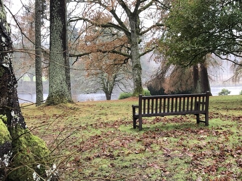 park bench, autumn leaves, by the river in Dunkeld Scotland