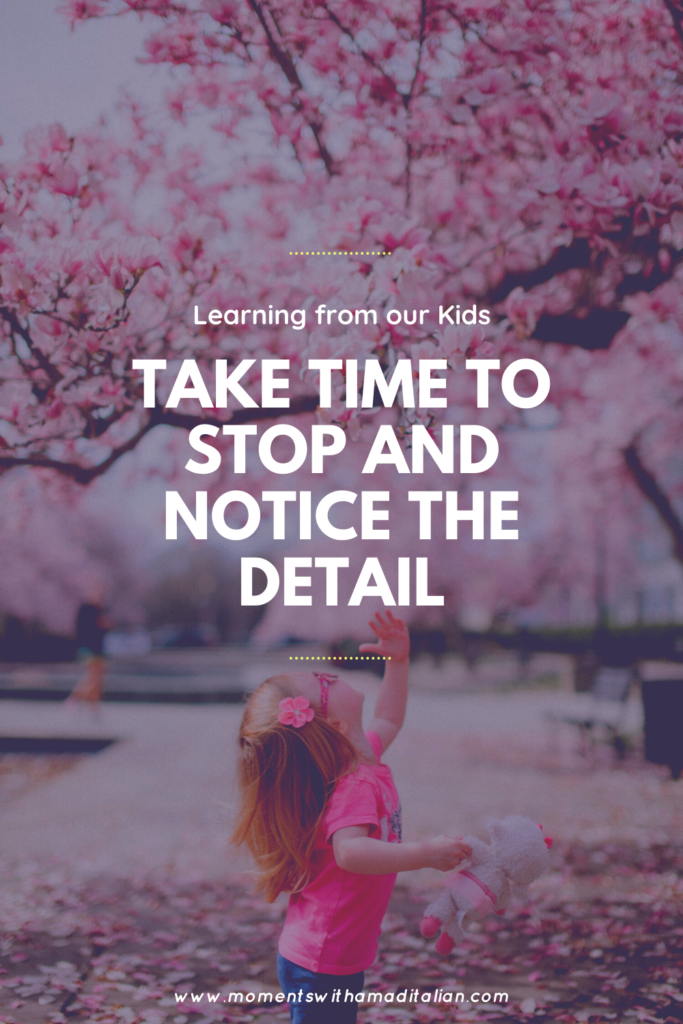 child dressed in pink reaching up to tough pink flowers on tree